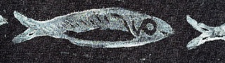 Linoryt ryba II